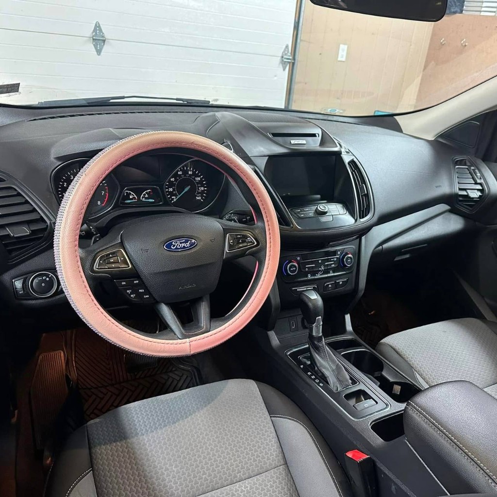 Ford interior klean